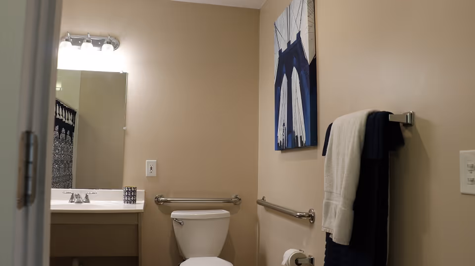 A bathroom with beige walls featuring a white toilet with metal grab bars on both sides, a white sink with a silver faucet, a large mirror above the sink, a towel rack holding a white and a dark blue towel, and a framed picture of a bridge on the wall.