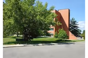 Exterior view of a senior living facility building partially obscured by large green trees and bushes, with a sidewalk and street in the foreground under a clear blue sky.
