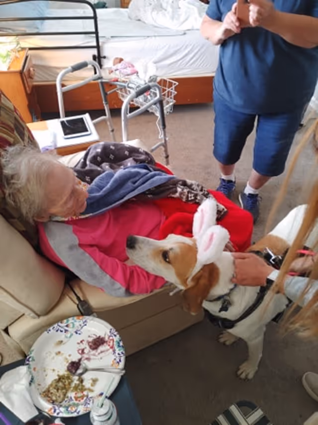 An elderly woman sitting in a recliner chair covered with a blanket, interacting with a dog wearing bunny ears. A person standing nearby is petting the dog. In the background, there is a bed, a walker, and some personal items in a room.