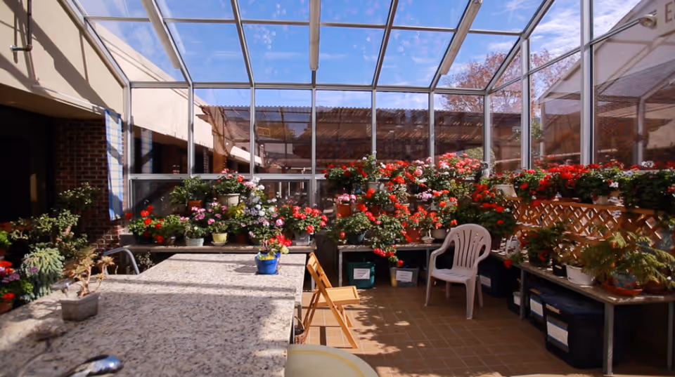 A bright indoor garden room with a glass ceiling and walls, filled with numerous potted flowering plants on shelves and tables. There are plastic and wooden chairs around a granite countertop, and sunlight is streaming in through the glass roof.