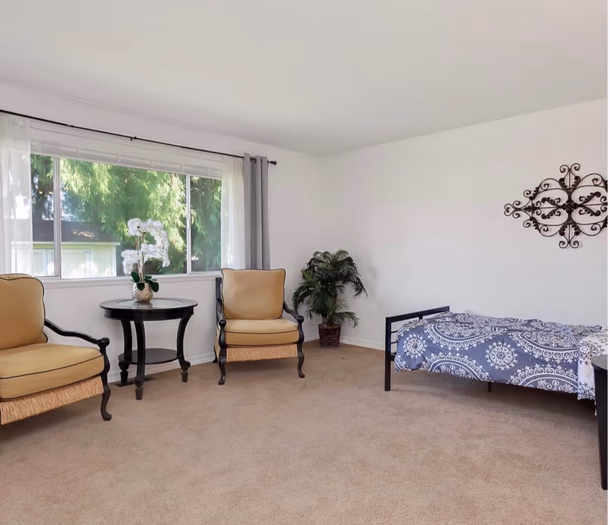 A bright room with beige carpet featuring two beige cushioned armchairs with dark wooden frames, a round black side table with a white orchid plant on it, a single bed with a blue and white patterned bedspread, a potted green plant in the corner, and a large window with sheer white and gray curtains letting in natural light.