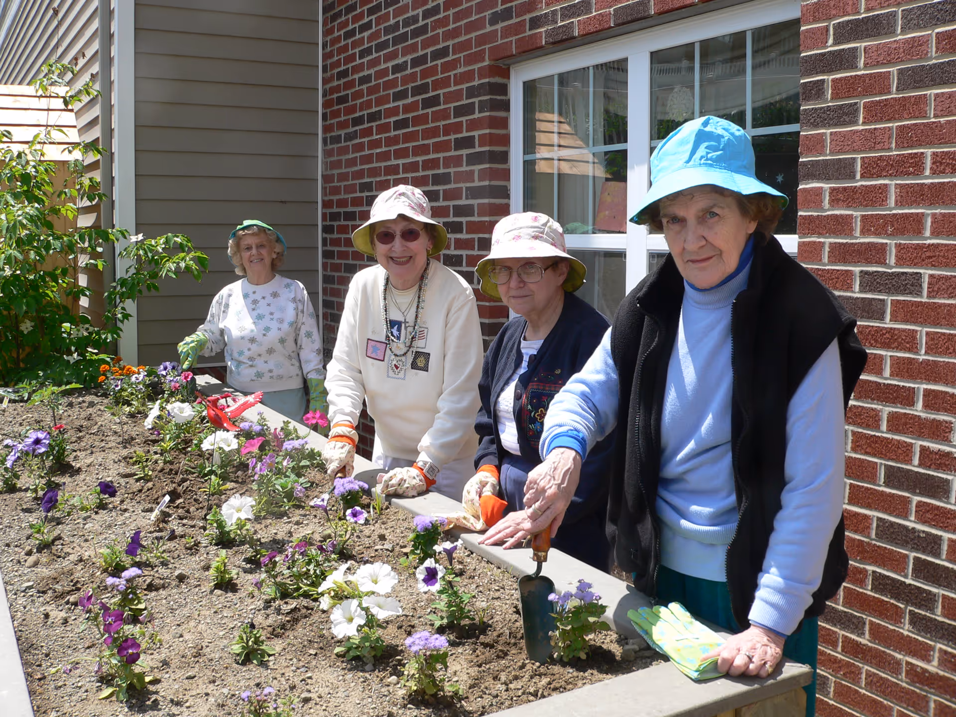 Four elderly women wearing hats and gardening gloves are tending to a raised flower bed with various blooming flowers outside a brick building on a sunny day.