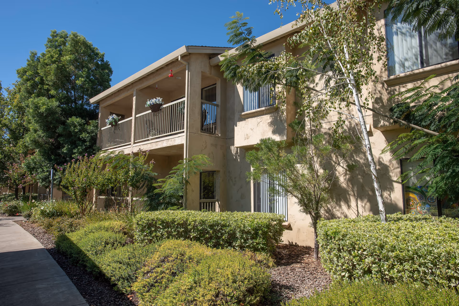 Exterior view of a two-story beige senior living building with covered balconies, landscaped shrubs, and a sidewalk.