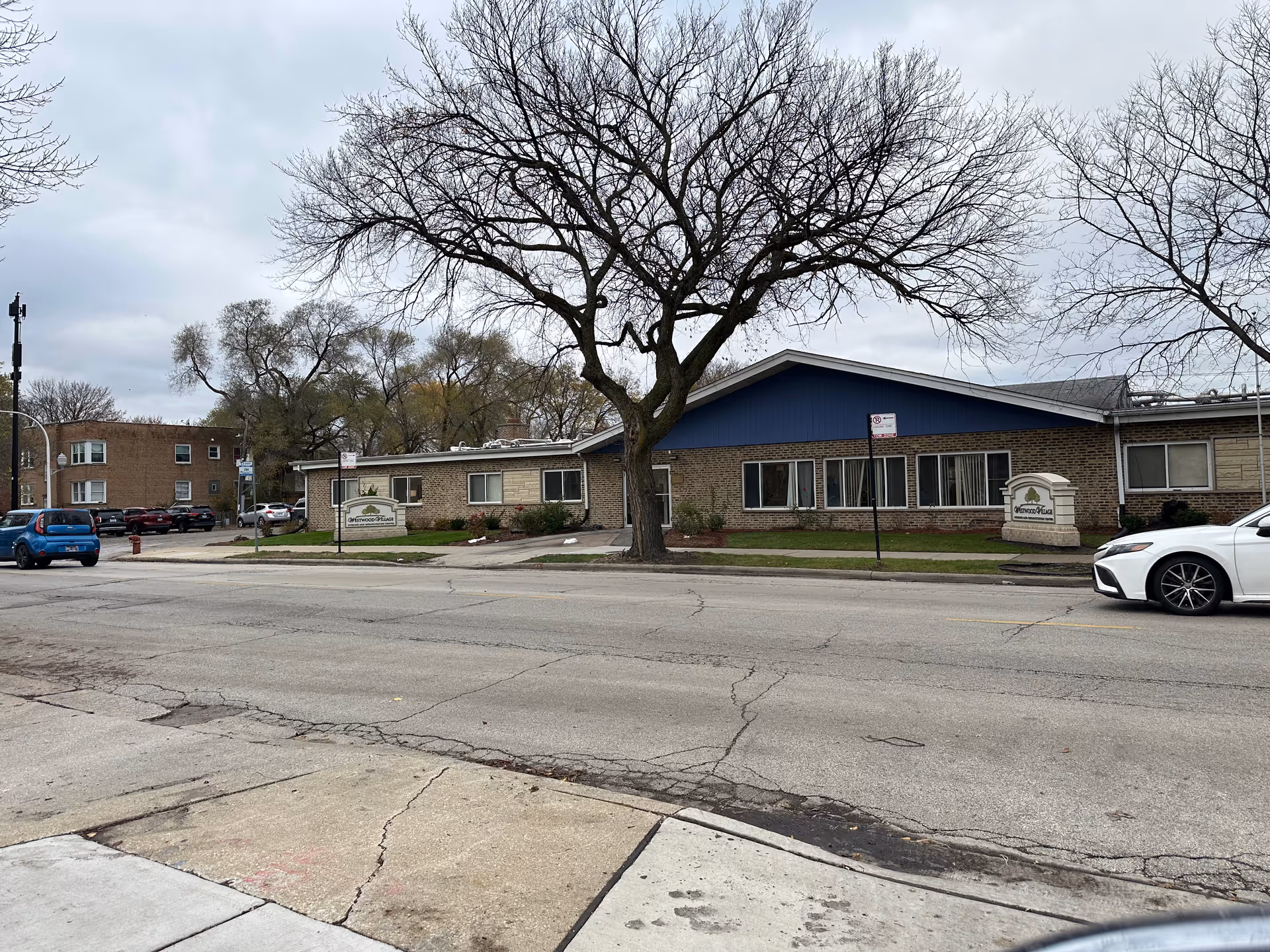 Single-story brick nursing facility front with a large leafless tree on the lawn and cars parked along the street.