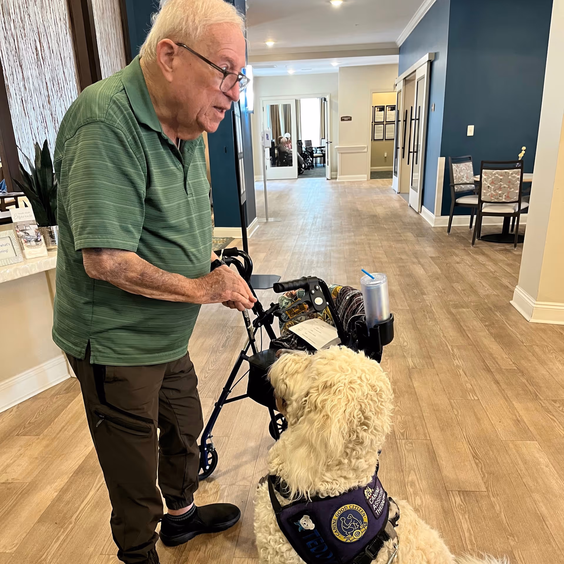 An elderly man with glasses and a green striped polo shirt is interacting with a curly-haired service dog wearing a vest labeled 'EDDY' inside a senior living facility hallway with wooden flooring and blue and beige walls.