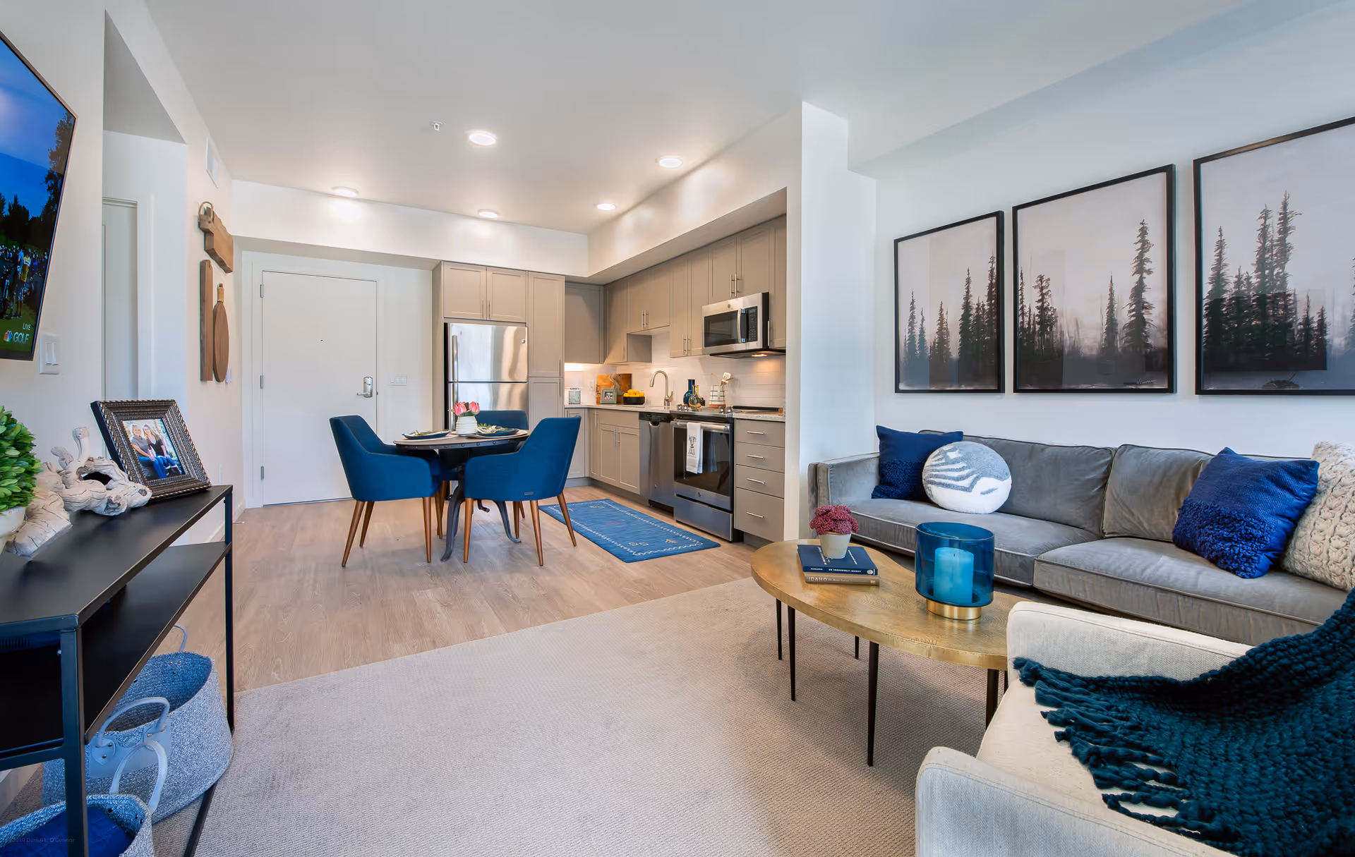 A modern open-concept living space featuring a kitchen with gray cabinets and stainless steel appliances, a small dining area with a round table and four blue chairs, and a living room with a gray sofa adorned with blue and white pillows, a beige armchair with a dark blue throw, a gold coffee table with decorative items, and three framed tree artwork pieces on the wall.