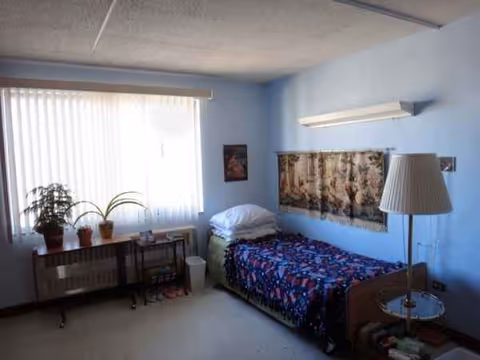 Small bedroom with single bed, plants, lamp, and large window blinds.