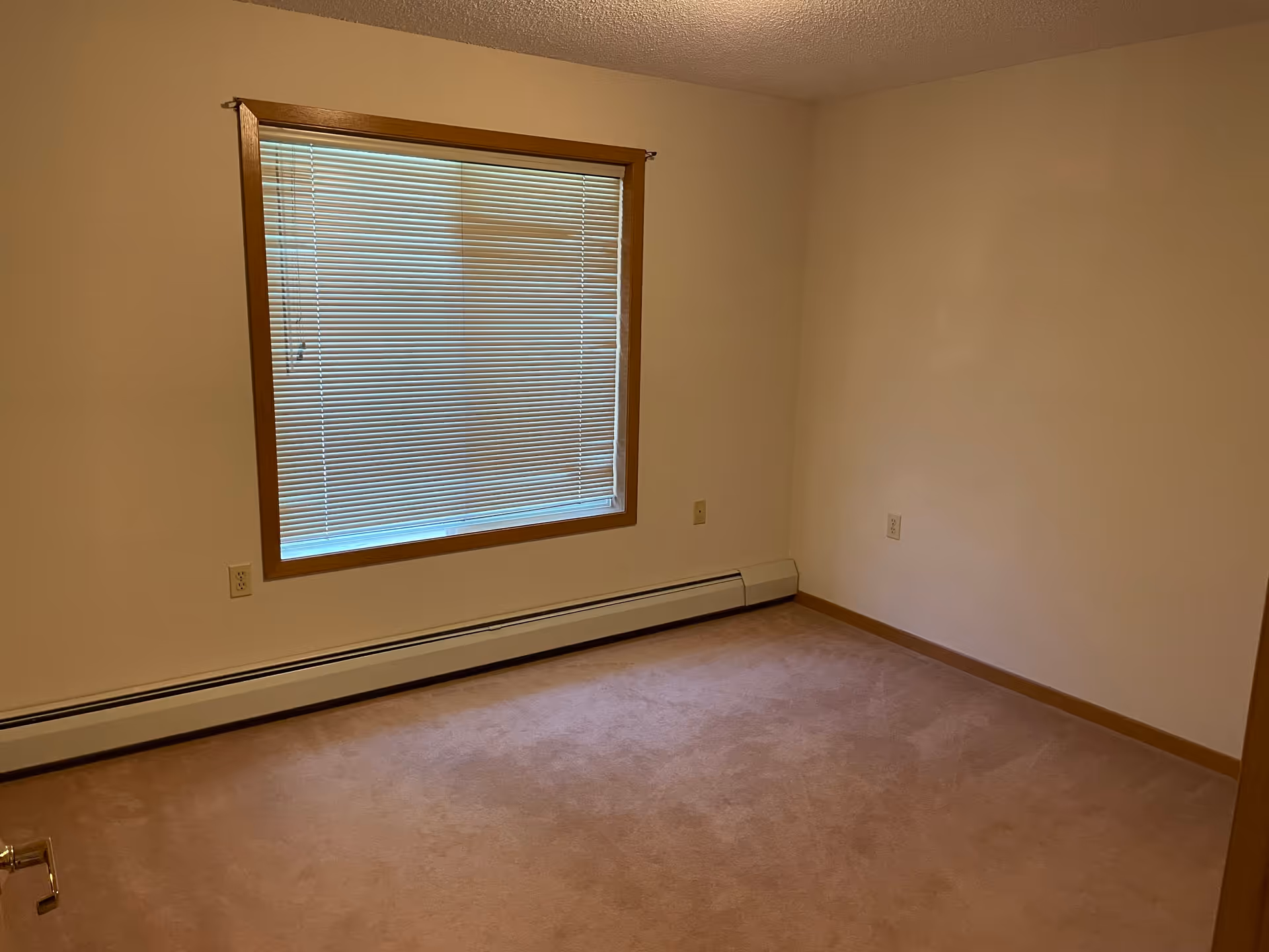 Empty room with beige carpet, cream-colored walls, a window with closed blinds, and wooden trim around the window and baseboards.