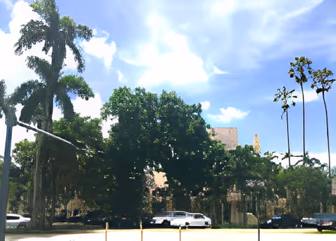 Outdoor view of a parking lot with several cars parked, surrounded by tall trees and greenery under a partly cloudy blue sky.