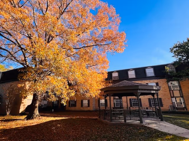 A large tree with bright orange autumn leaves stands in front of a three-story brick building. There is a covered gazebo with benches on a concrete path in the courtyard area. The sky is clear and blue.