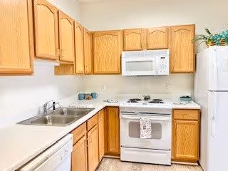 A clean kitchen with wooden cabinets, a white stove with an oven, a microwave above the stove, a double sink, a dishwasher, and a white refrigerator. There are a few decorative items on the countertop and a plant on top of the refrigerator.