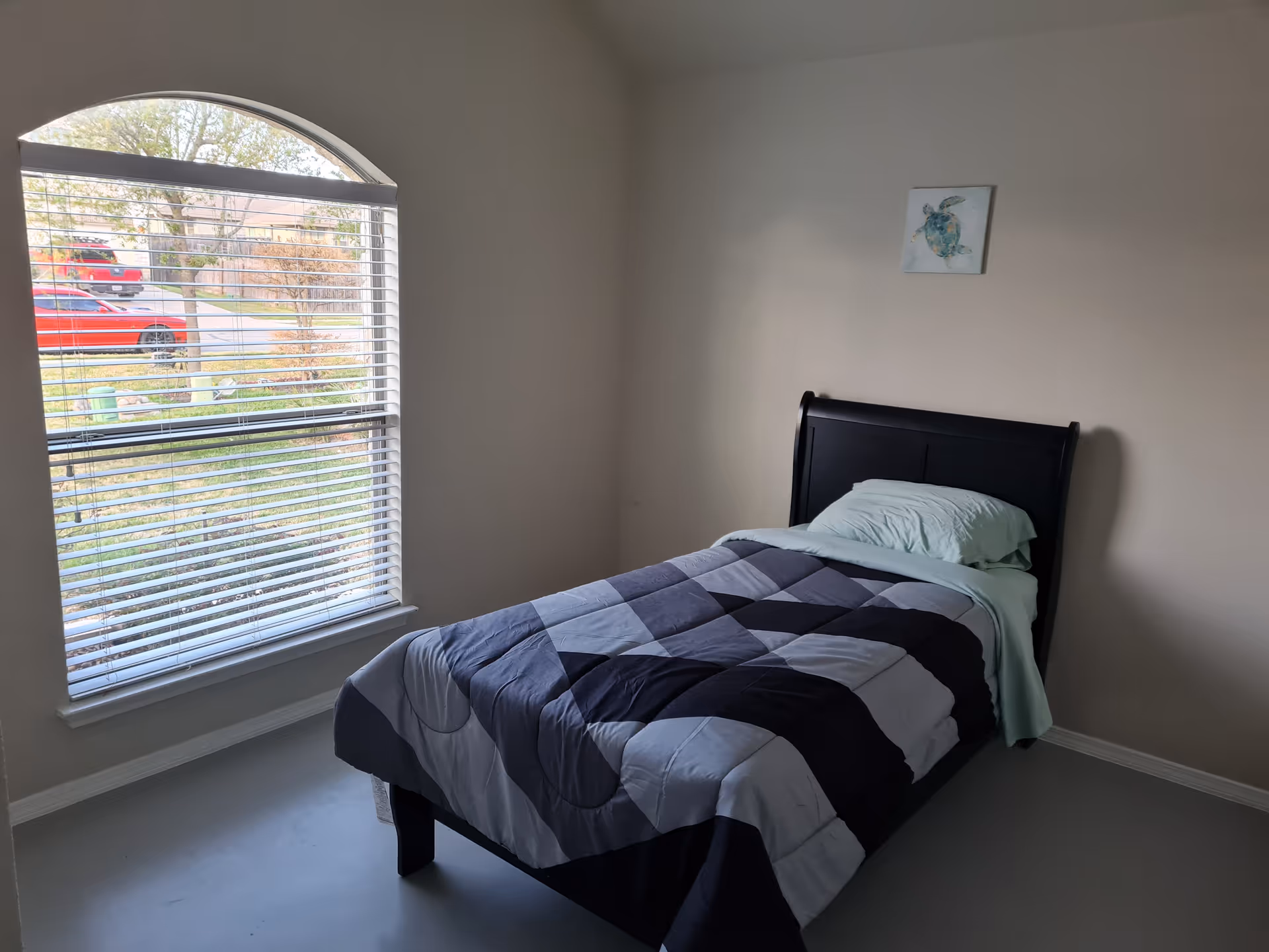 A simple bedroom with a single bed covered with a checkered black and gray comforter and a light green pillow. There is a window with white blinds letting in natural light, and a small picture of a turtle hangs on the beige wall above the bed.