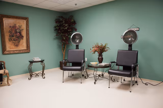 Two black salon chairs with overhead hair dryers, side tables, a potted plant, and framed art in a mint-green walled room.