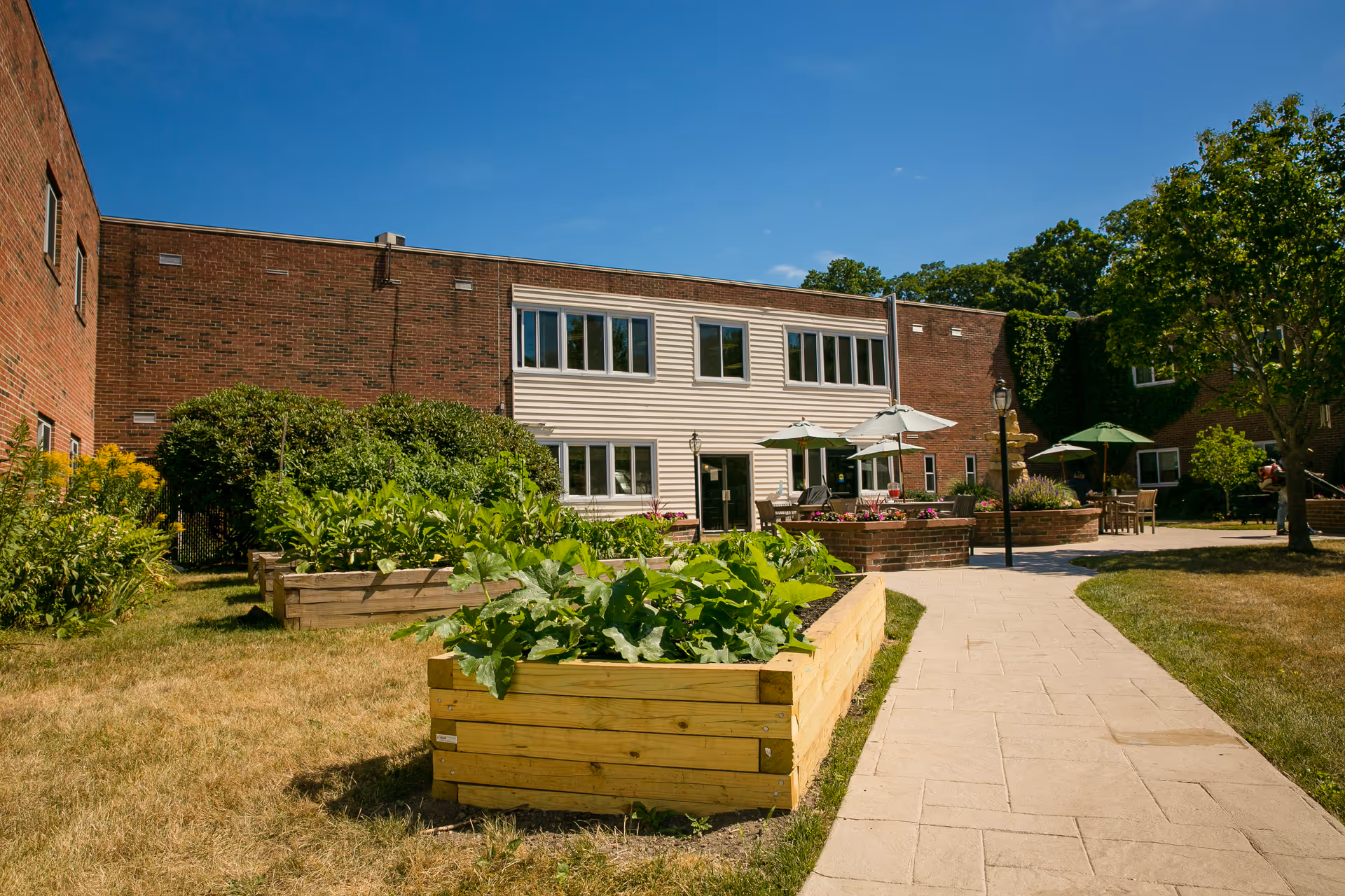 Sunny courtyard with raised wooden garden beds, a paved walkway, and outdoor seating in front of a brick building.