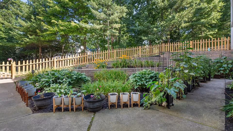 Outdoor garden area with multiple potted plants arranged along a concrete pathway, surrounded by greenery and trees, with a wooden picket fence in the background.