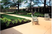 Outdoor patio area with concrete walkways, garden beds with plants, and several wooden chairs. Trees and a building are visible in the background under a clear sky.
