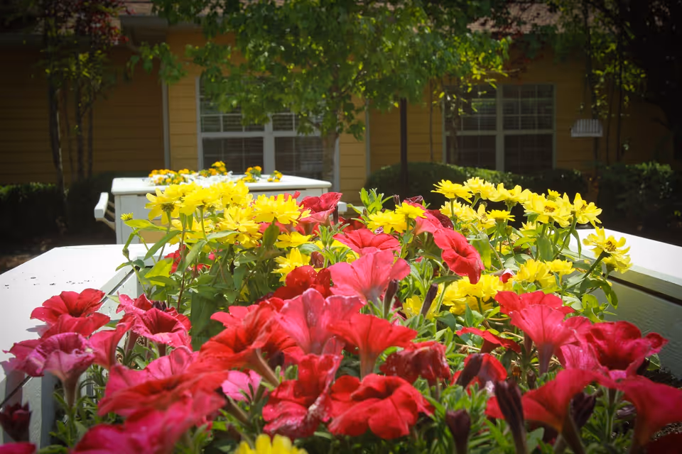 Close-up view of vibrant red and yellow flowers planted in white rectangular planters outside a building with yellow siding and windows, surrounded by green trees and bushes.