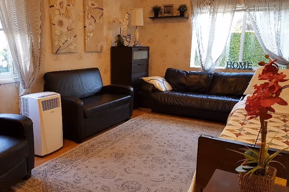 A cozy living room with two black leather sofas, a patterned area rug, a small black cabinet with decorative items, and a window with sheer curtains letting in natural light. There is a white air purifier next to one sofa and a table with a red orchid plant in the foreground.