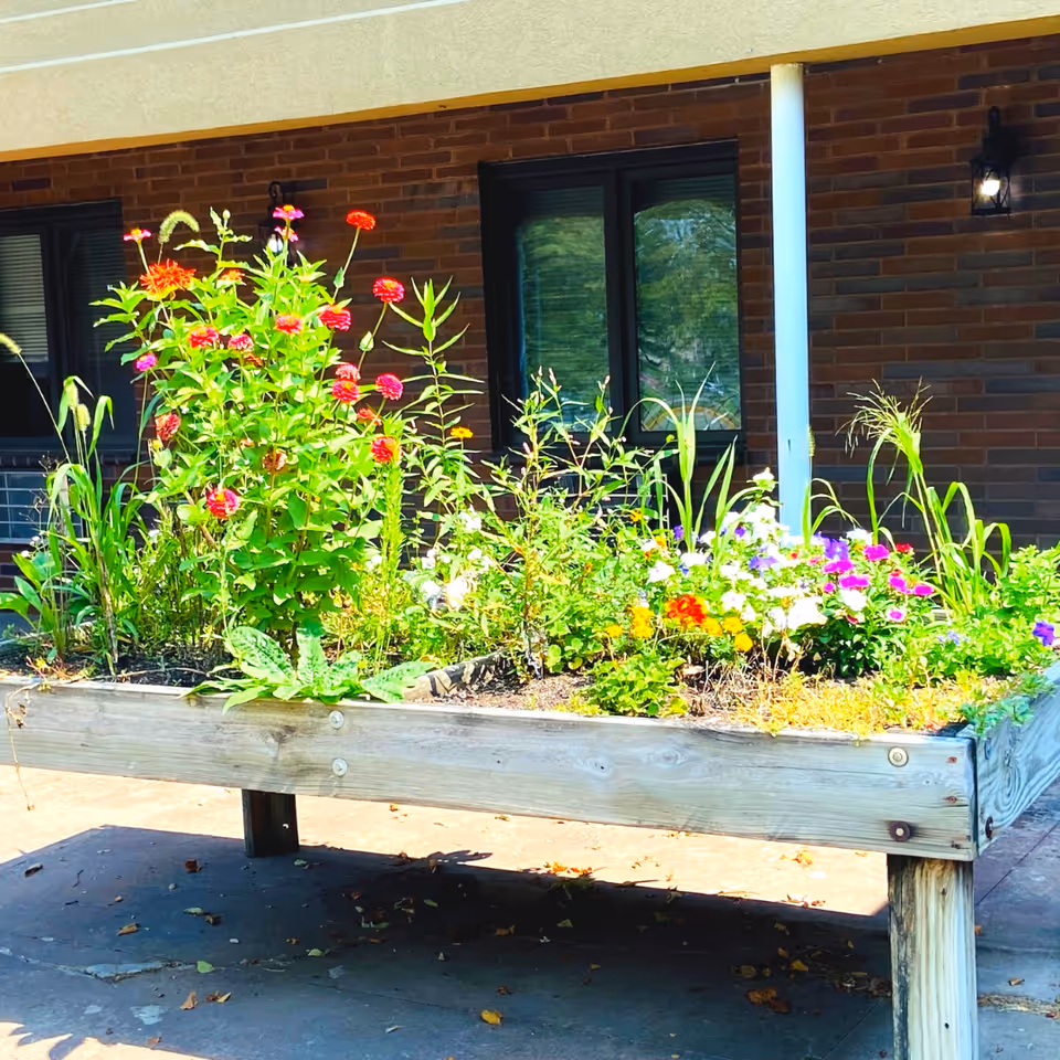 A raised wooden garden bed filled with various colorful flowers and green plants, situated outdoors on a concrete surface in front of a brick building with windows and a white pillar.