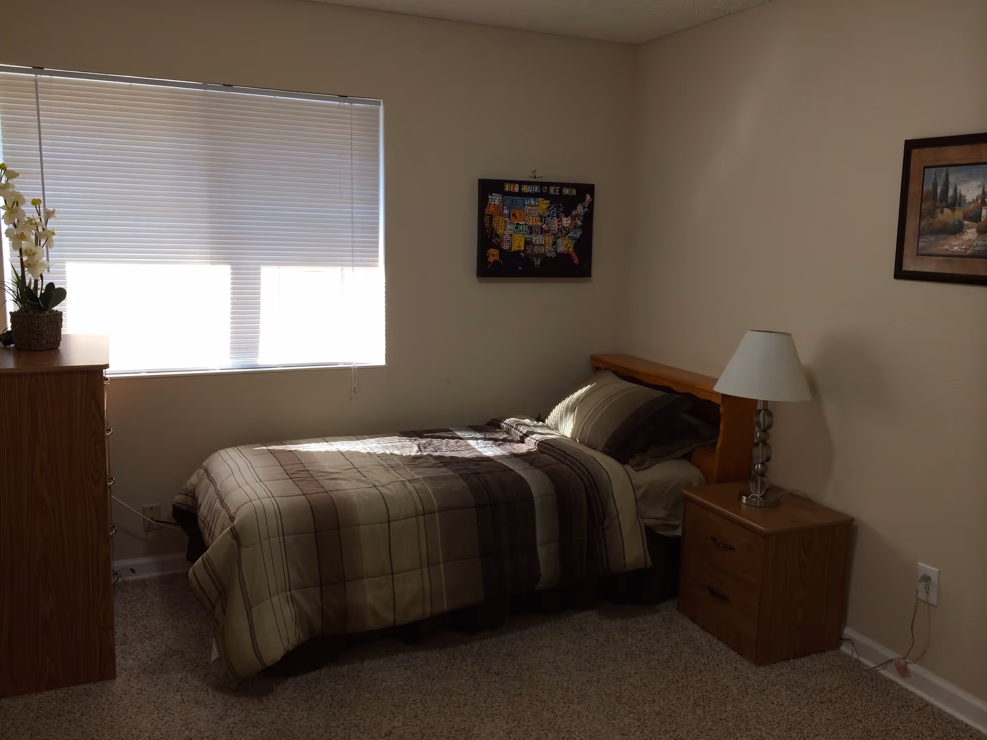 A small bedroom with a single bed covered in a striped brown and beige comforter. There is a wooden nightstand with a lamp on the right side of the bed and a wooden dresser with a potted plant on the left side near a window with closed blinds. Two framed pictures hang on the walls.