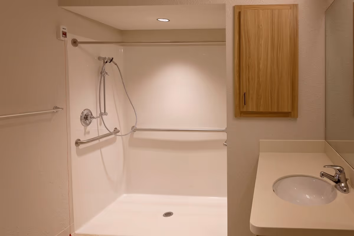 Accessible bathroom with a walk-in shower featuring a handheld showerhead and grab bars, next to a sink and wooden wall cabinet.