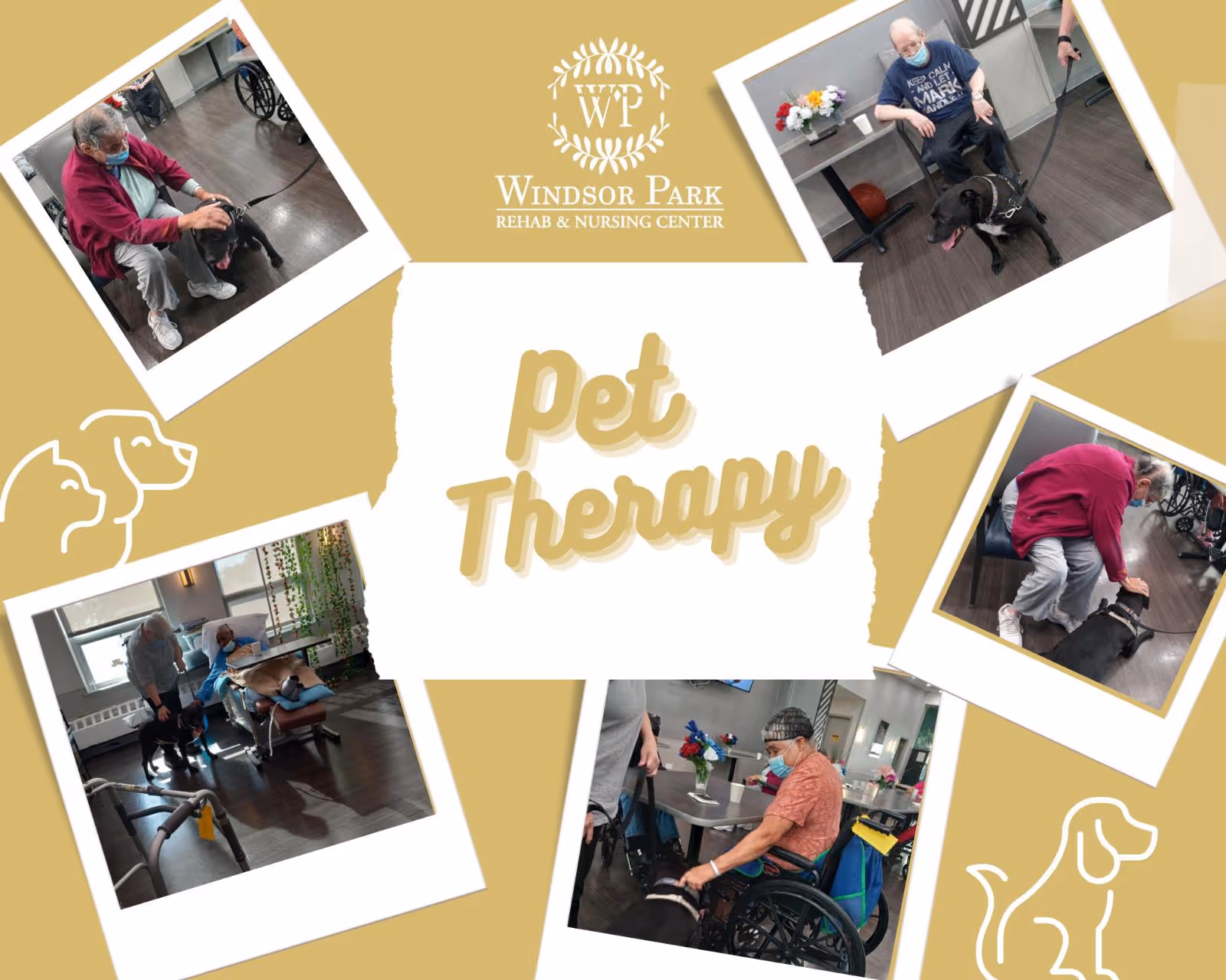 Collage of photos showing elderly residents at Windsor Park Rehab & Nursing Center interacting with a therapy dog in an indoor common area. The residents are seated or in wheelchairs, wearing masks, and petting or sitting near the dog. The background features tables, chairs, and flowers.