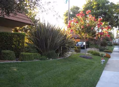 Well-manicured exterior of The WaterLeaf at Land Park with lawn, shrubs, and trees.