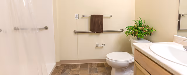 A clean bathroom with a white toilet, a sink with a countertop and wooden cabinet, a towel rack with a brown towel, grab bars on the wall, a shower area with a clear curtain, and a green potted plant on the countertop.
