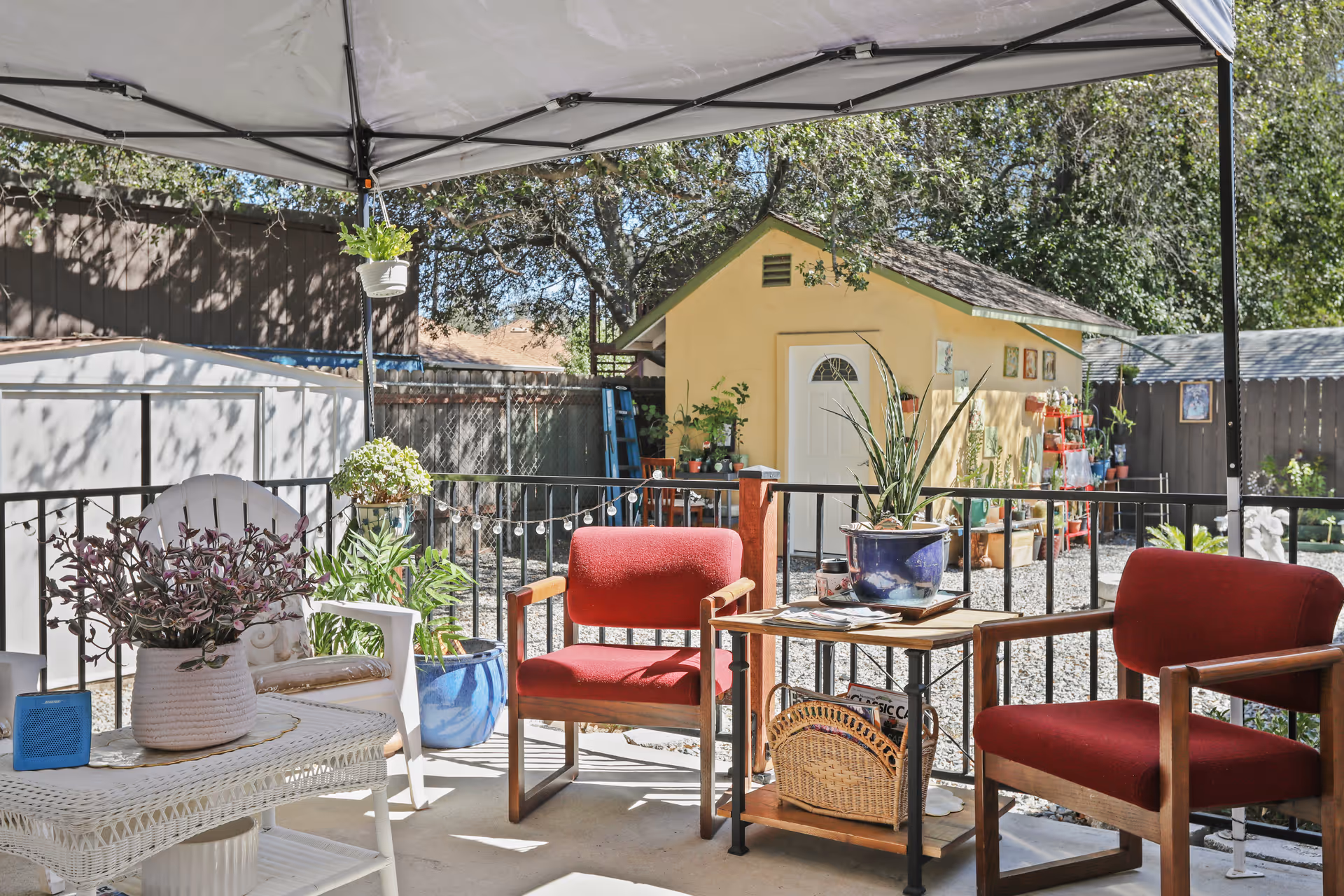 Outdoor patio area with a canopy overhead, two red cushioned wooden chairs, a small wooden table with a potted plant and magazines, a white wicker table with a potted plant, and various other plants in pots. In the background, there is a small yellow shed with a white door and decorative items on the wall, surrounded by trees and a fenced yard.
