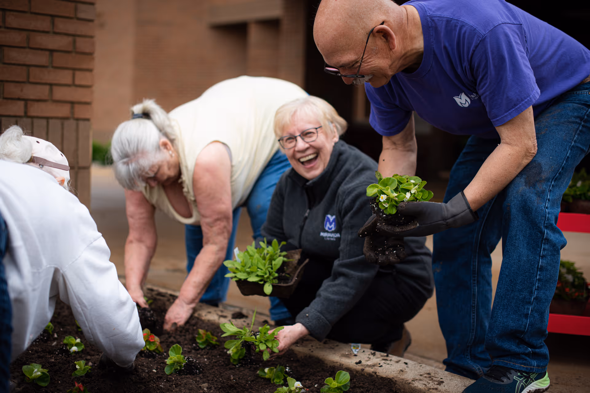A group of elderly people gardening together outdoors, planting small green plants in soil. One woman is smiling and looking at the camera while holding a plant, and others are focused on planting. They are dressed casually and appear to be enjoying the activity.