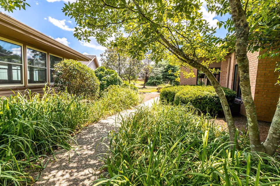 A sunny outdoor garden path lined with tall green plants and bushes, flanked by buildings with windows on both sides. Trees provide partial shade over the walkway under a blue sky with scattered clouds.