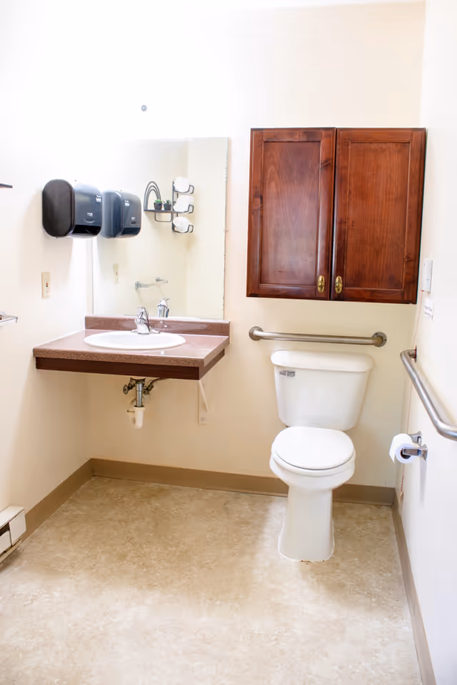 Accessible bathroom featuring a wall-mounted sink with mirror, a toilet with grab bars, and a wooden cabinet.