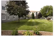 Well-maintained grassy courtyard with trees and surrounding multi-story senior living building.