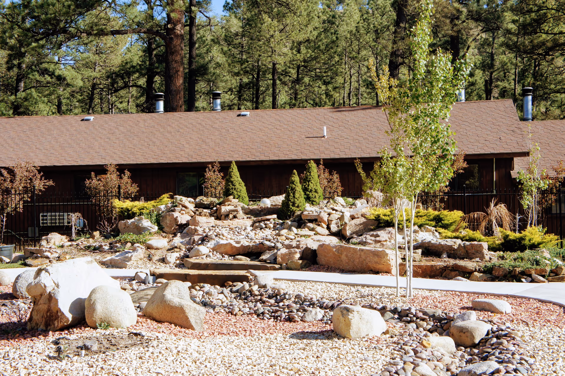 Outdoor garden area with large rocks, small trees, and shrubs in front of a single-story building with a brown roof surrounded by tall pine trees.