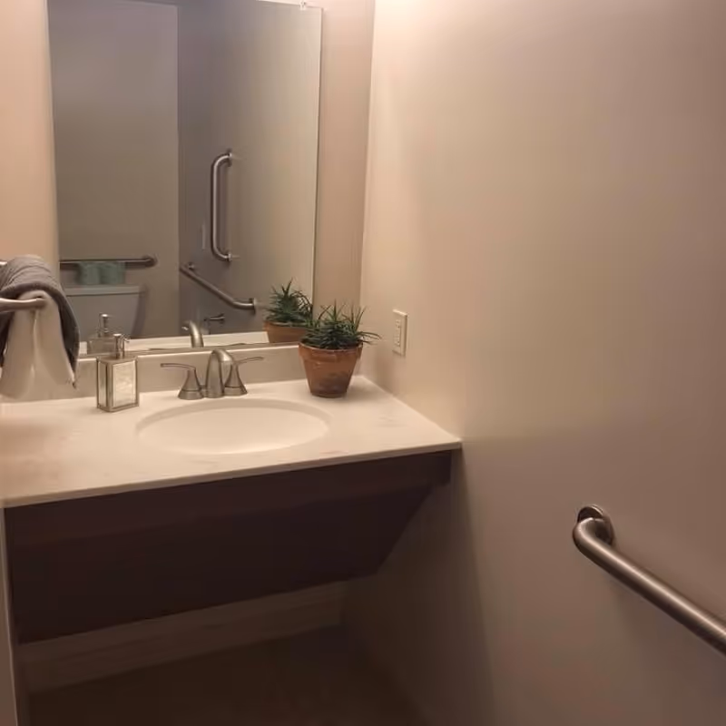 Bathroom sink and mirror with potted plants, towel, and stainless grab bars.