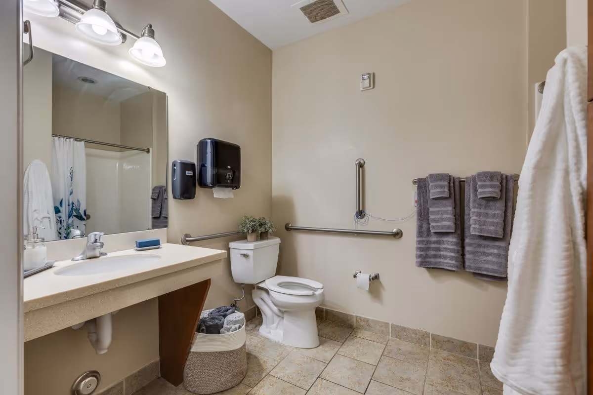 Accessible bathroom with a sink and mirror, toilet with grab bars, towel rack, and a shower curtain.