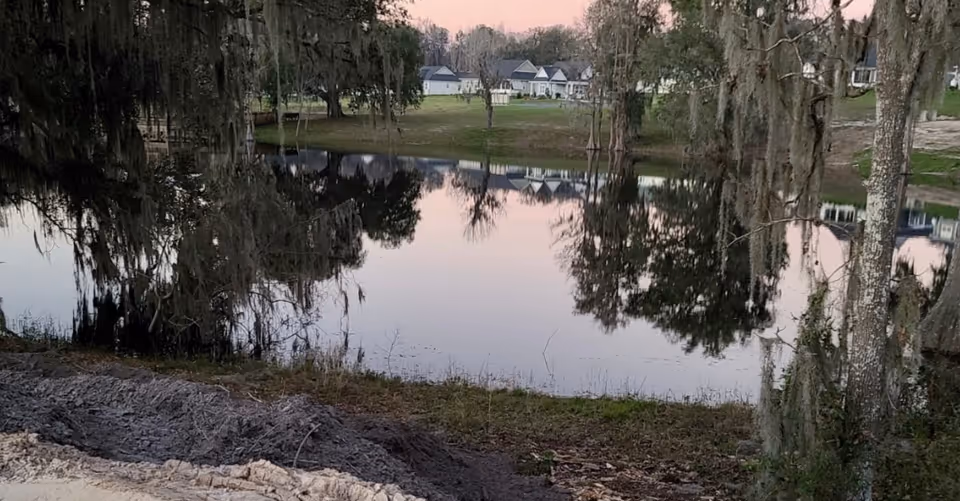 A serene outdoor scene featuring a calm pond reflecting nearby trees and houses in the background during dusk or early evening.