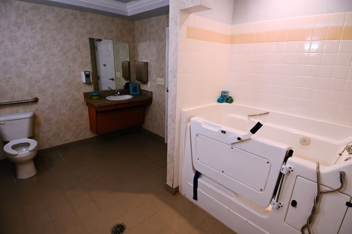 Accessible bathroom featuring a walk-in bathtub with a hinged door, a toilet, a wall-mounted sink with mirror, and grab bars.