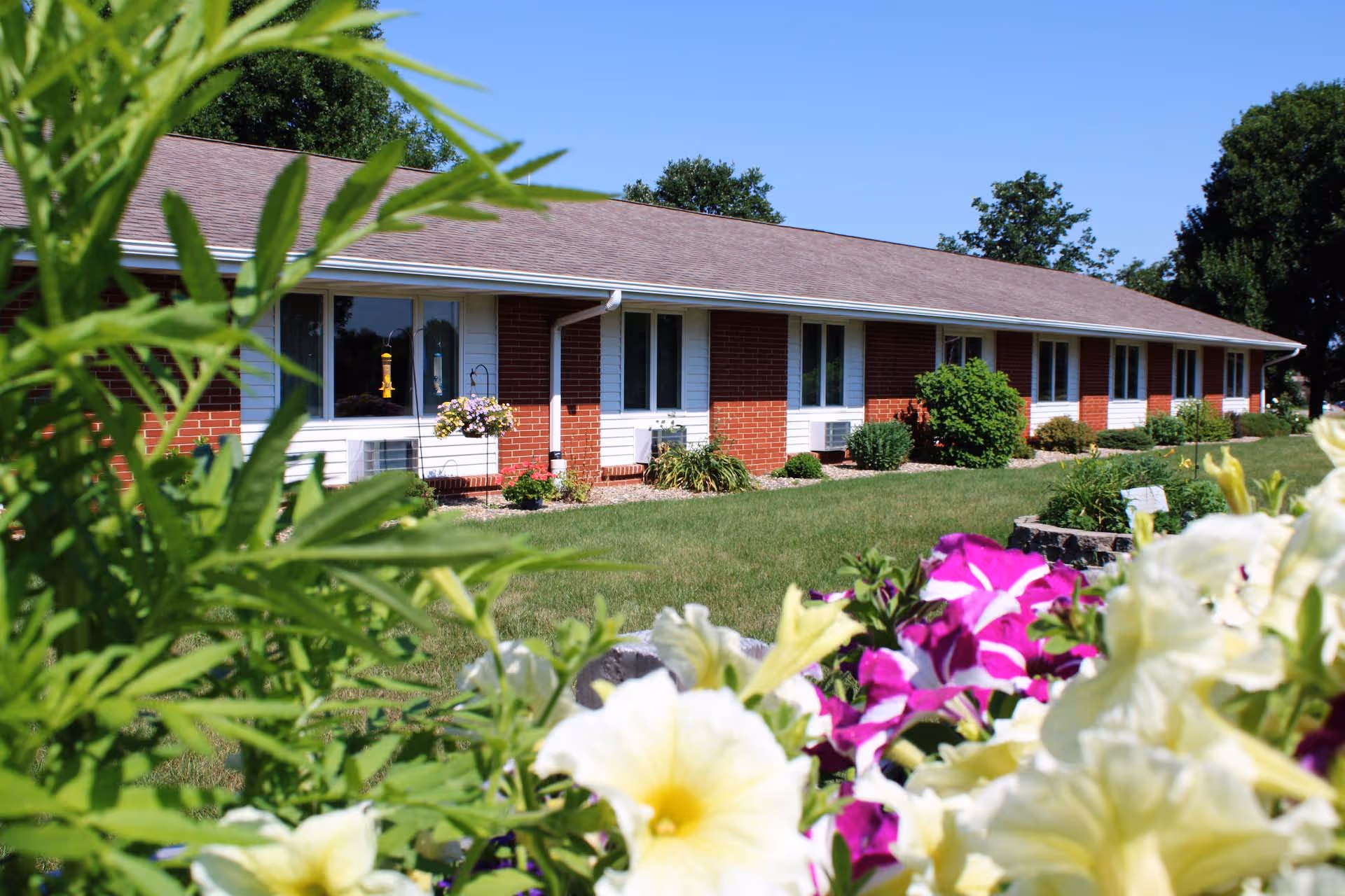 Single-story brick building front with a manicured lawn, shrubs, and colorful flowers in the foreground.