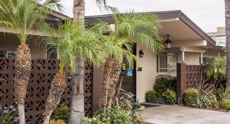 Exterior view of a single-story building entrance with a covered porch, surrounded by palm trees and various green plants. The building has a brown decorative brick wall and beige walls with a dark brown roof trim.
