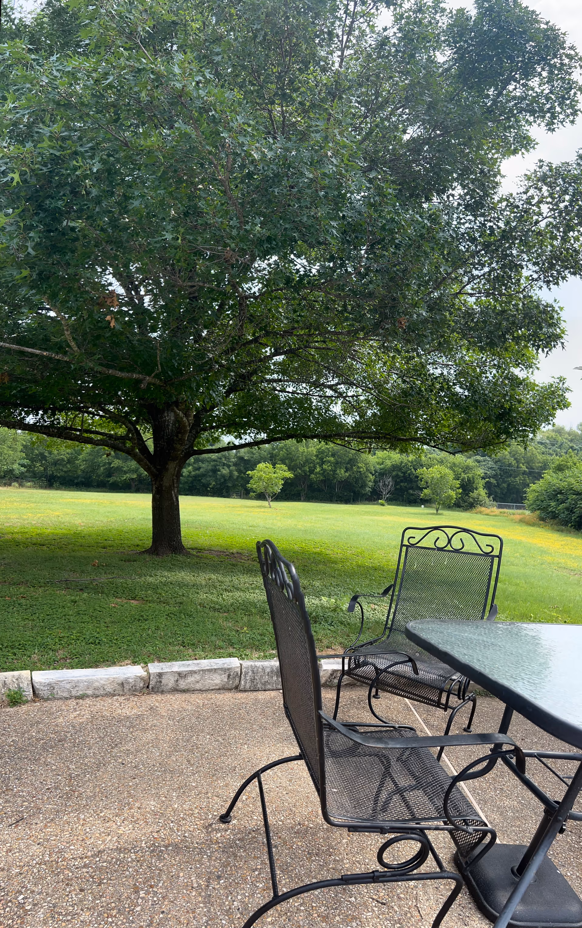 Outdoor patio area with black metal chairs and a glass-top table on a paved surface. In the background, there is a large leafy tree and a grassy field with smaller trees and bushes under a partly cloudy sky.