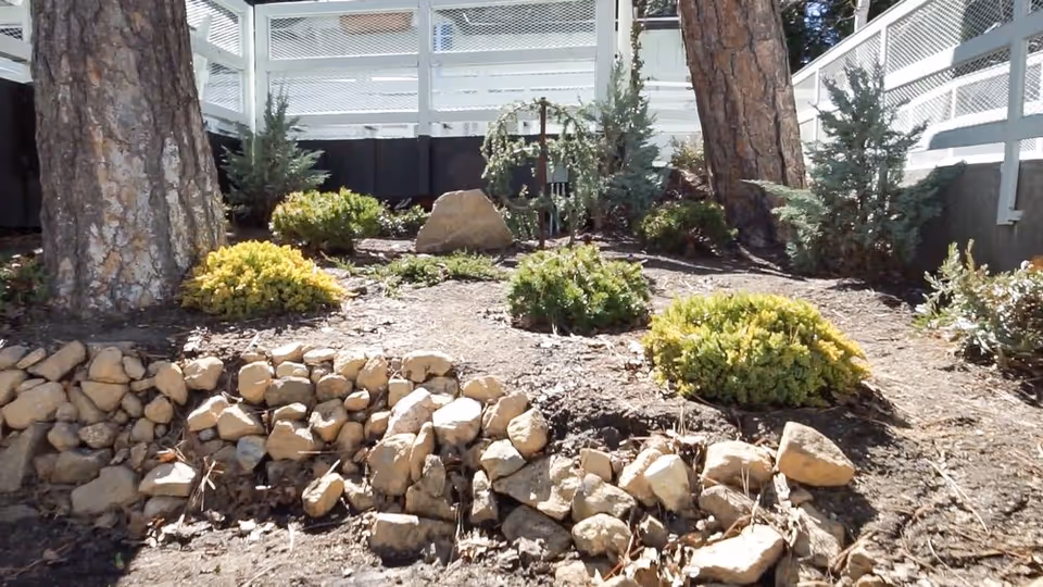 Rock-bordered garden bed with small shrubs and two large trees in front of a white fence.