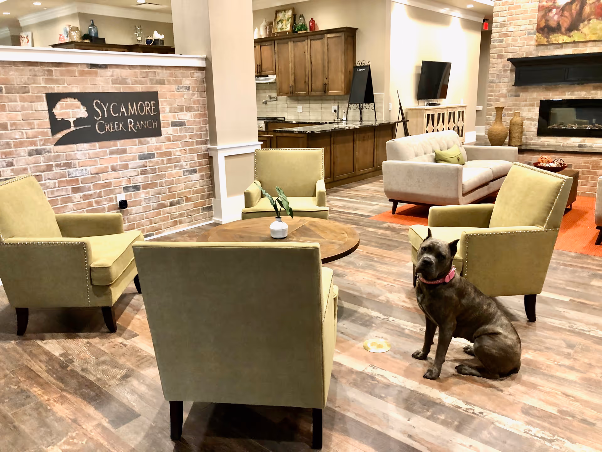 A cozy living room area with four green armchairs arranged around a round wooden coffee table with a small plant on it. A gray dog with a pink collar sits on the wooden floor near one of the chairs. In the background, there is a beige sofa, a flat-screen TV mounted on the wall, a fireplace with decorative vases, and a kitchen area with wooden cabinets. A brick wall features a sign that reads 'Sycamore Creek Ranch'.