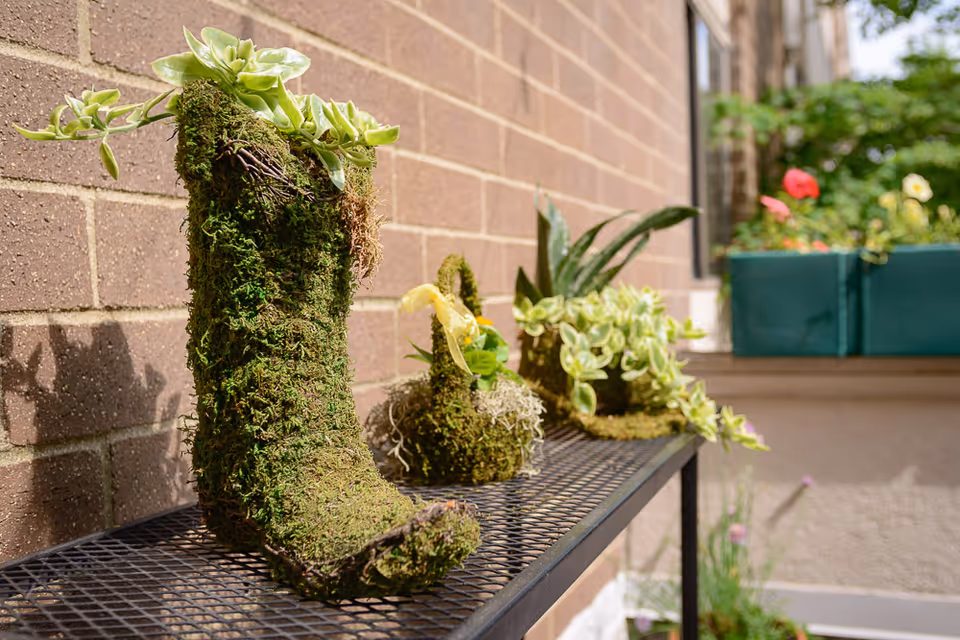 A close-up view of a metal shelf against a brick wall displaying decorative plant holders covered in moss shaped like a boot and other small containers, with green plants growing from them. In the background, there are green planter boxes with colorful flowers and some greenery.