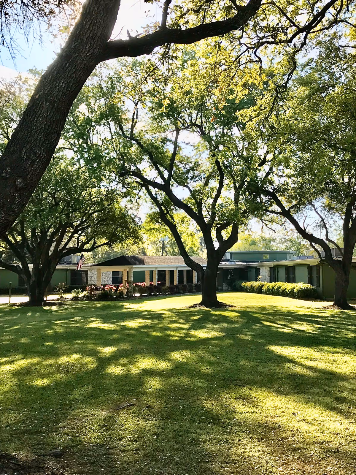 A nursing home building partially visible behind large trees with green leaves. The foreground shows a well-maintained grassy lawn with sunlight filtering through the tree branches, casting shadows on the ground.