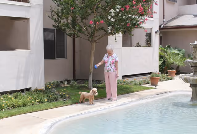 An elderly woman wearing a floral shirt and pink pants is standing near a pool, holding a blue dog leash attached to a small brown dog. They are outside near a building with potted plants and a tree with pink flowers.