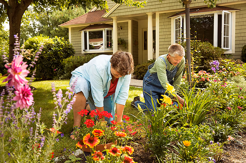 Two elderly women gardening together in a colorful flower bed in front of a house with green siding and a red roof. They are kneeling on the grass, tending to various flowers and plants on a sunny day.