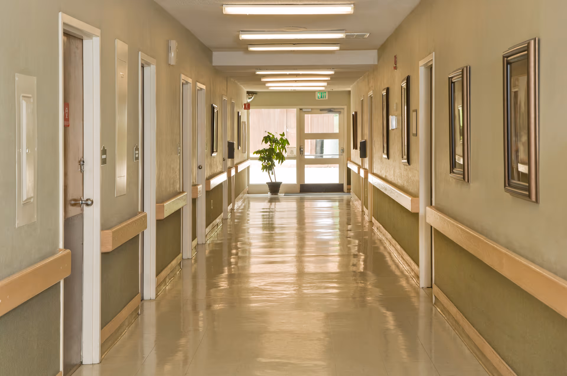 A clean, well-lit hallway in a senior living facility with beige walls, handrails on both sides, several closed doors, framed pictures on the right wall, and a potted plant near the glass exit door at the end of the corridor.