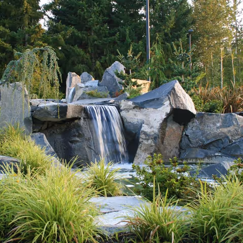A landscaped outdoor garden with a rock waterfall flowing into a pond surrounded by grasses and trees.