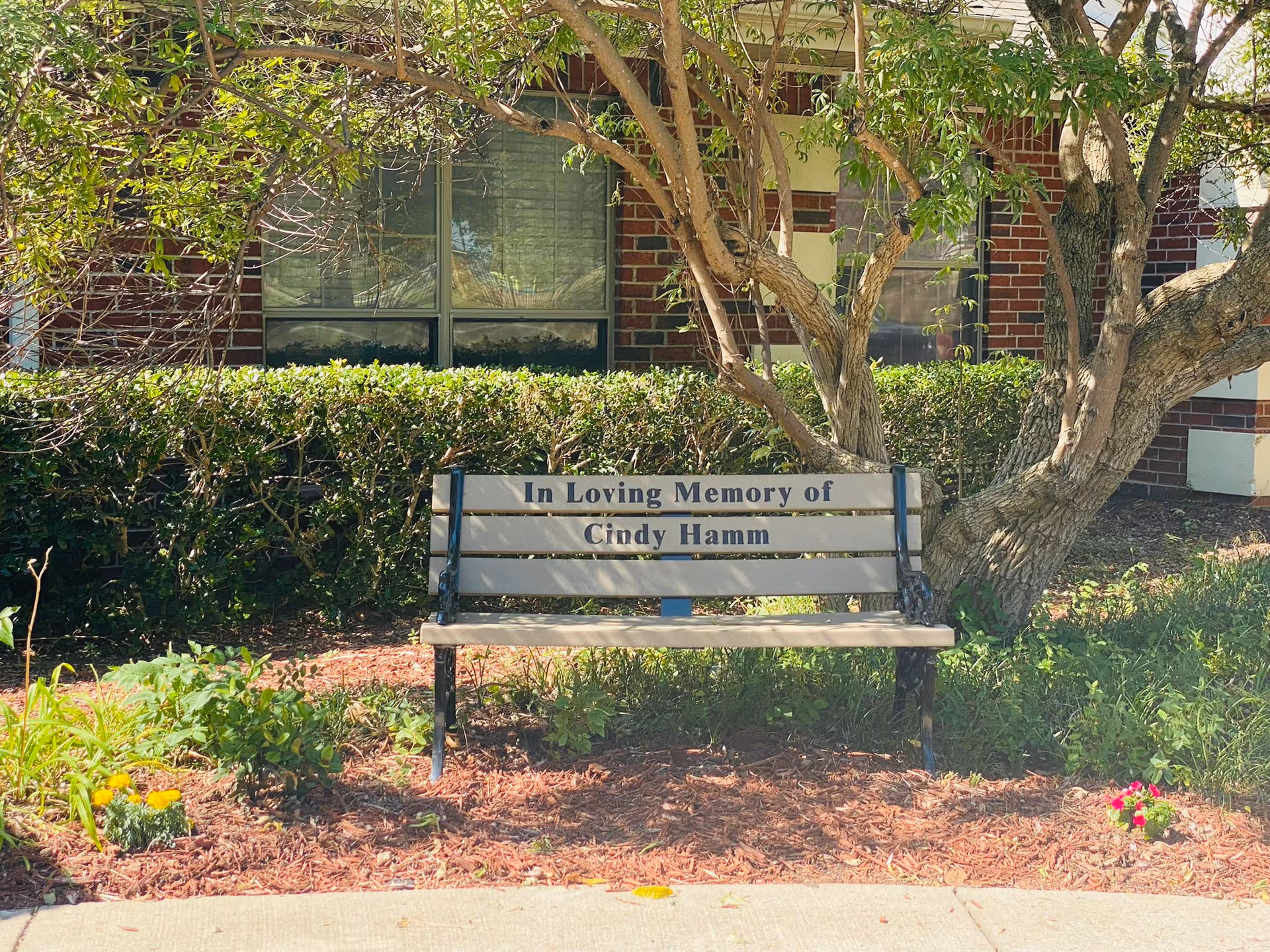 A memorial bench reading "In Loving Memory of Cindy Hamm" sits under a tree in front of a brick building.